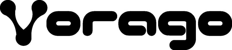 130484_vorago logo